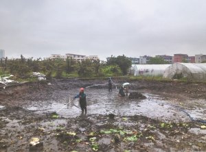 孝感河道鱼塘清淤